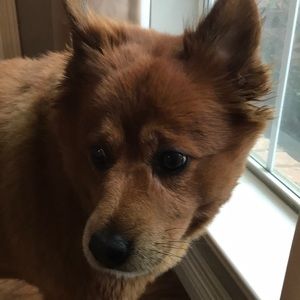Meet your Posher, Mitzi